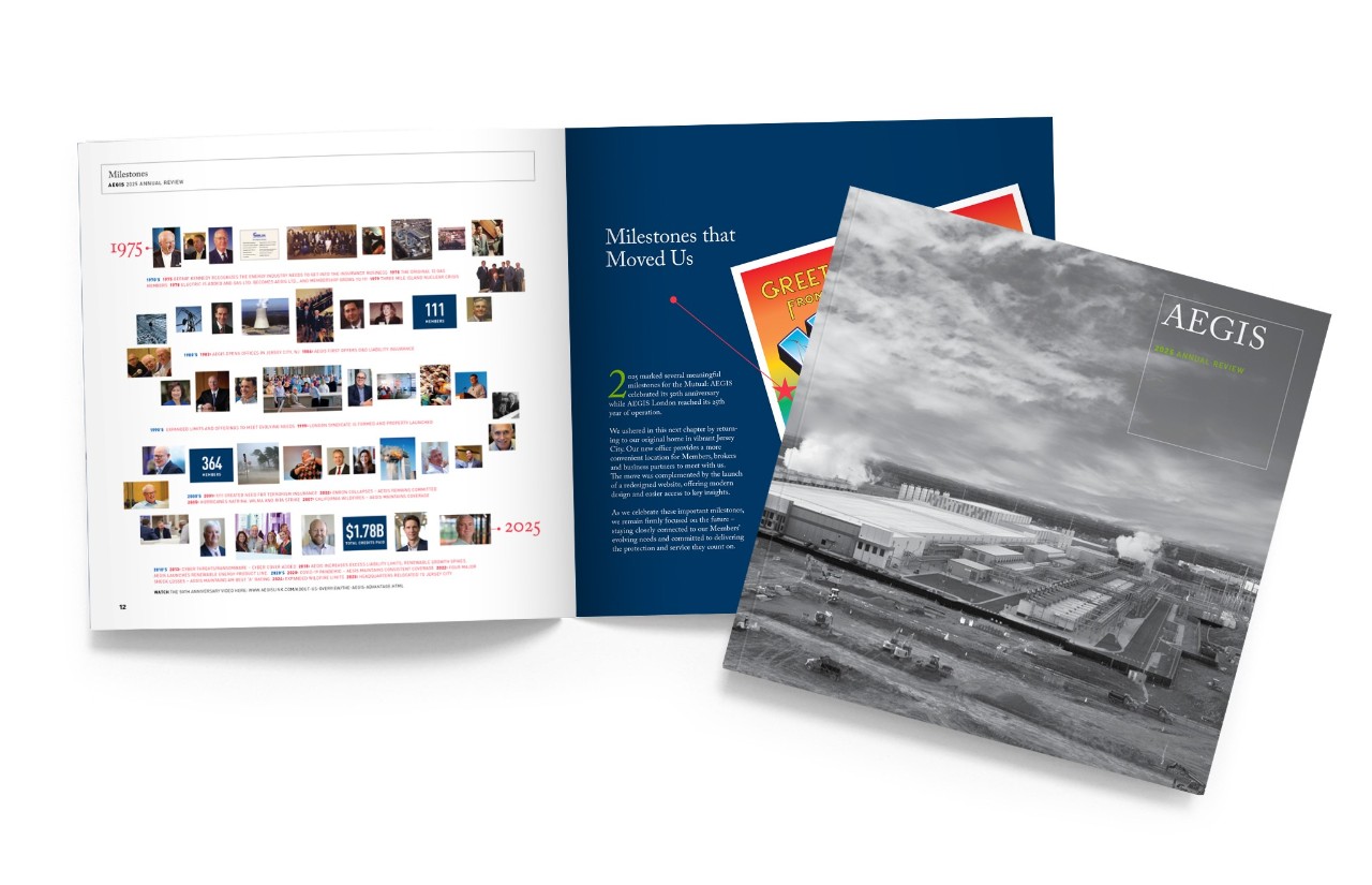 2024 Annual Review